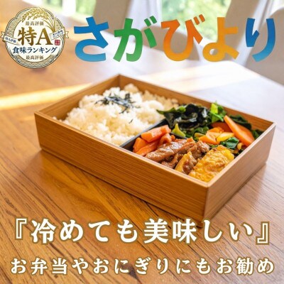 【毎月定期便】『さがびより』白米3kg(吉野ヶ里町)全12回