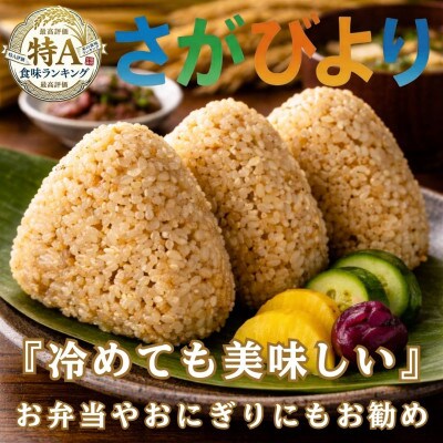 【毎月定期便】【玄米さがびより5kg】(吉野ヶ里町)全6回