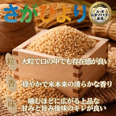 【毎月定期便】【玄米】さがびより10kg(5kg×2袋)(吉野ヶ里町)全5回