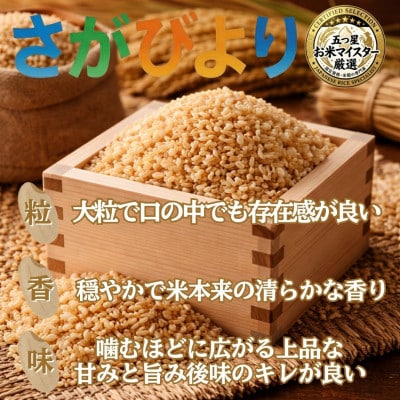 【2ヵ月毎定期便】【玄米さがびより5kg】(吉野ヶ里町)全6回