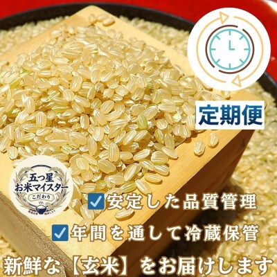 【2ヵ月毎定期便】【玄米】さがびより10kg(5kg×2)五つ星お米マイスター厳選 吉野ヶ里町全2回