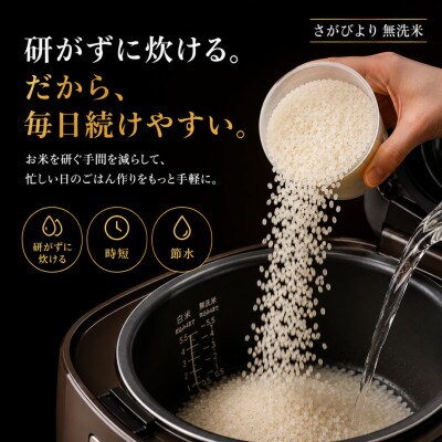 【毎月定期便】【無洗米さがびより5kg】(吉野ヶ里町)全12回