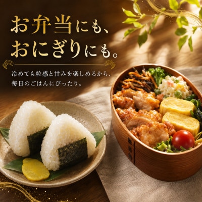 【毎月定期便】【無洗米】さがびより10kg(5kg×2袋)(吉野ヶ里町)全12回