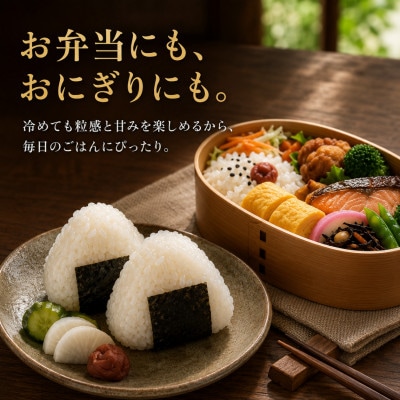 【毎月定期便】『さがびより白米10kg』(5kg×2)五つ星お米マイスター厳選(吉野ヶ里町)全5回