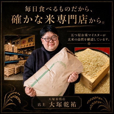 【毎月定期便】【玄米】さがびより5kg(吉野ヶ里町)全12回