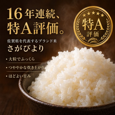【2ヵ月毎定期便】さがびより白米10kg(5kg×2袋)(吉野ヶ里町)全2回