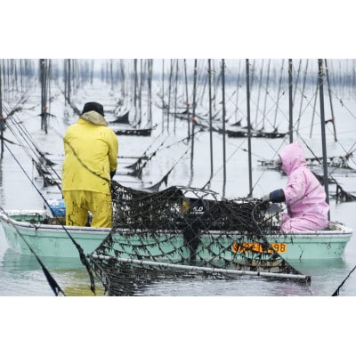 焼海苔　全型銀4帖(板のり10枚分×4パック)