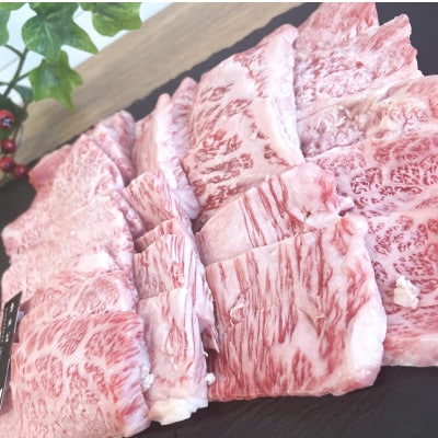 【佐賀牛 焼肉満喫セット】モモ 上カルビ 総計900g(吉野ヶ里町)