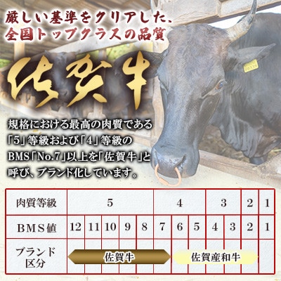 佐賀牛 A4 A5等級 ヒレ サイコロステーキ 450g(吉野ヶ里町)