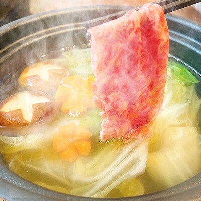 【毎月定期便】佐賀牛 赤身とバラ肉の切り落とし 500g(250g×2P)(吉野ヶ里町)全6回