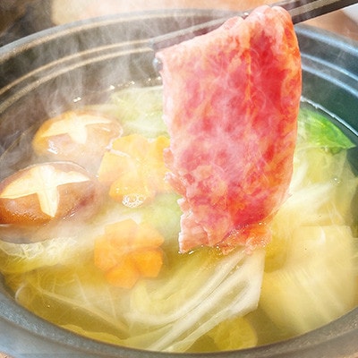 【毎月定期便】佐賀牛 赤身とバラ肉の切り落とし 500g(250g×2P)(吉野ヶ里町)全12回