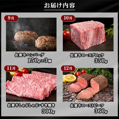 【発送月固定定期便】肉の定期便!佐賀牛毎月月替わりでお届け【Dコース】全12回