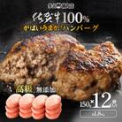 佐賀県産　厳選無添加の佐賀牛100%ハンバーグ(150g×12個　計1.8kg)(吉野ケ里町)