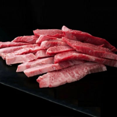 【訳あり】佐賀牛 ヒレ焼肉用(切落し) 600g(吉野ヶ里町)