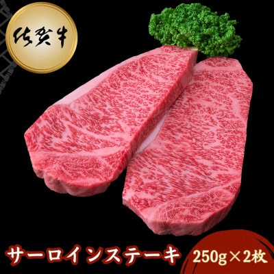 佐賀牛サーロインステーキ 250g×2枚(吉野ヶ里町)