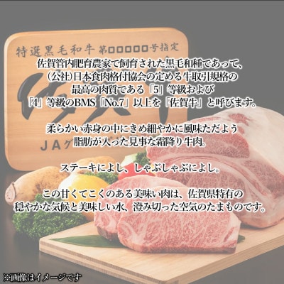 佐賀牛ヒレステーキ　300g(吉野ヶ里町)