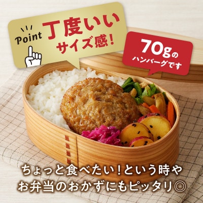 【3ヵ月毎定期便】ちょっと贅沢おうちごはん!佐賀牛ハンバーグ(約70g×17個)(吉野ヶ里町)全3回