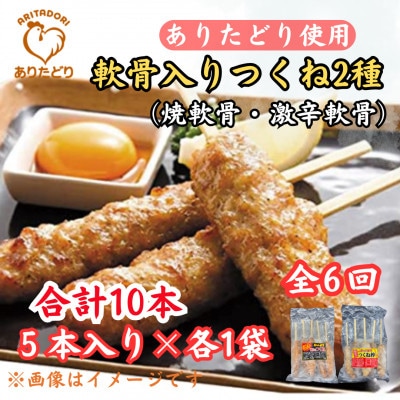 【2ヵ月毎定期便】合計10本ありたどりつくね2種　5本入×各1袋(吉野ヶ里町)全6回