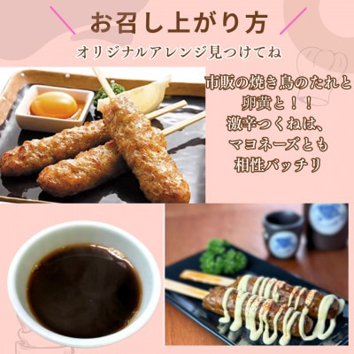 【2ヵ月毎定期便】【さとふる限定】合計10本ありたどりつくね2種　5本入×各1袋(吉野ヶ里町)全6回