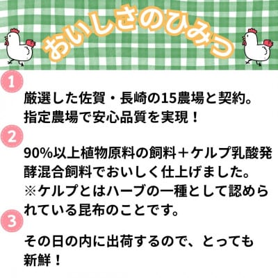 【2ヵ月毎定期便】【さとふる限定】佐賀県のブランド鶏ありたどり手羽元2kg×1袋(吉野ヶ里町)全5回