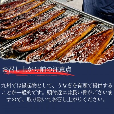 うなぎ蒲焼食べ比べセット380g