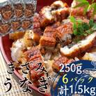 刻みうなぎ蒲焼1.5kg