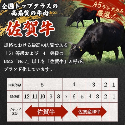 極上佐賀牛 赤身A5 ヒレステーキ 200g×2枚(吉野ヶ里町)