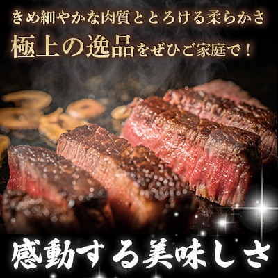極上佐賀牛 赤身A5 ヒレステーキ 200g×2枚(吉野ヶ里町)