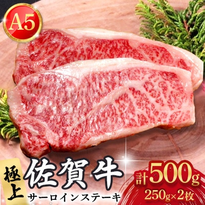 極上 佐賀牛 A5ランク サーロインステーキ 250g×2枚(計500g)(吉野ヶ里町)
