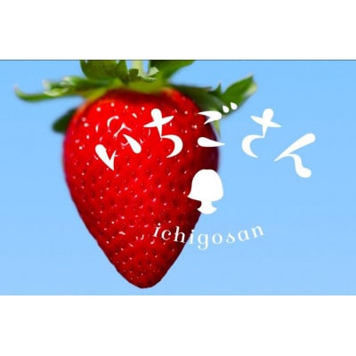 いちご食べ比べ いちごさん さがほのか 計960g(吉野ヶ里町)