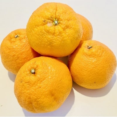 佐賀県産不知火　計約5kg(吉野ヶ里町)