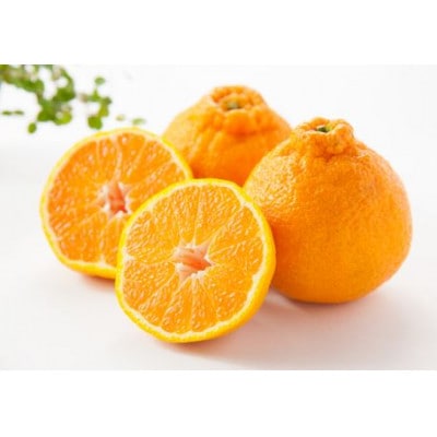 デコポン 計約5kg 佐賀県産(吉野ヶ里町)