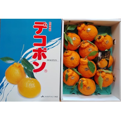 【木なり完熟】デコポン  計約3kg(吉野ヶ里町)