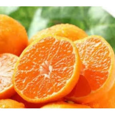 ハウスみかん 計約2.2kg 化粧箱入り(吉野ヶ里町)