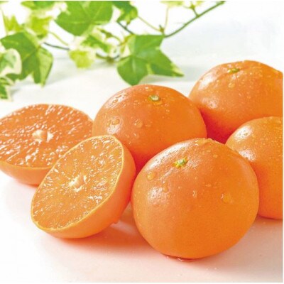 はまさき計2.5kg化粧箱入り(吉野ヶ里町)