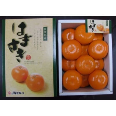 はまさき計2.5kg化粧箱入り(吉野ヶ里町)