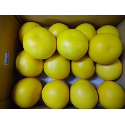 さがんルビー　計約5kg(吉野ヶ里町)