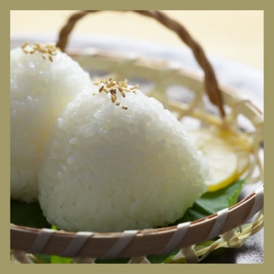 新米 令和7年産 さがびより(白米)5kg(吉野ヶ里町)