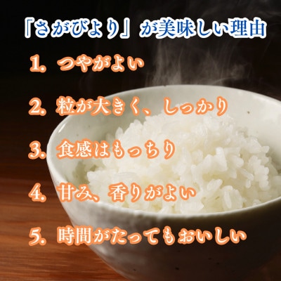 新米 令和7年産 さがびより(白米)10kg(5kg×2袋)吉野ヶ里町