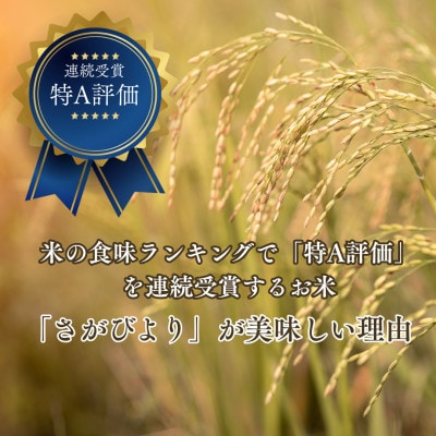 【先行予約】(新米)令和8年産 さがびより (白米) 10kg(5kg×2袋) 吉野ヶ里町