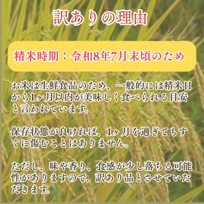 【さとふる限定】【訳あり】令和7年産 さがびより(白米)5kg(吉野ヶ里町)