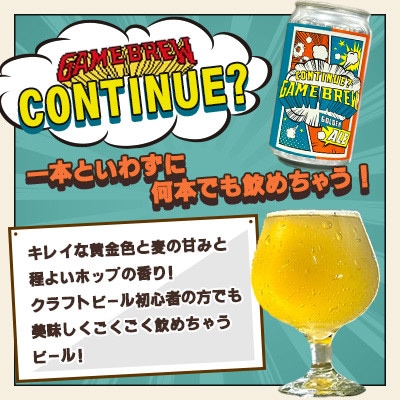 【毎月定期便】クラフトビール GAMEBREW 3種 6本セット(3種×2本) 各350ml全12回