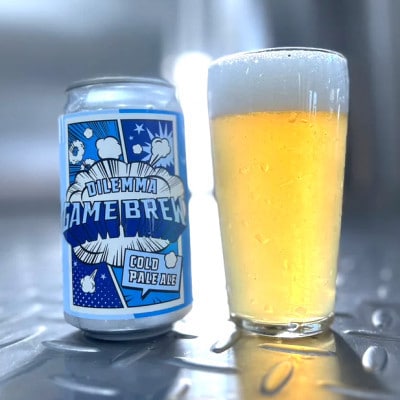 【毎月定期便】クラフトビール GAMEBREW 3種 6本セット(3種×2本) 各350ml全12回