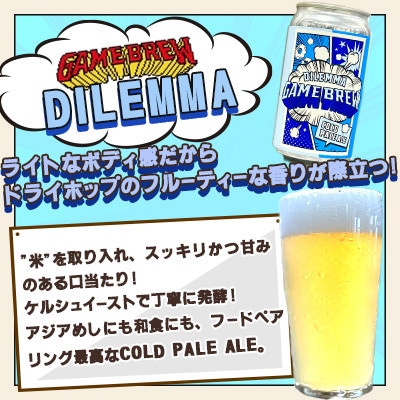 【毎月定期便】クラフトビール GAMEBREW 3種 6本セット(3種×2本) 各350ml全12回