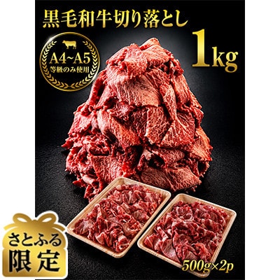 【さとふる限定】A4～A5等級　黒毛和牛　切り落とし　1kg【500g×2】(吉野ヶ里町)