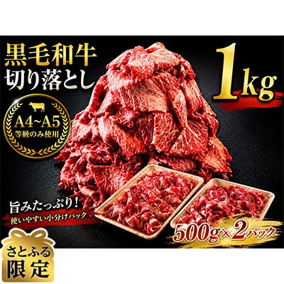 【さとふる限定】A4～A5等級　黒毛和牛　切り落とし　1kg【500g×2】(吉野ヶ里町)