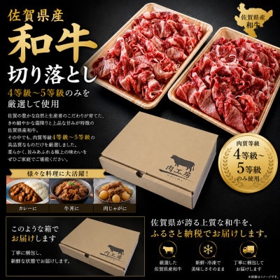 【さとふる限定】A4～A5等級　黒毛和牛　切り落とし　1kg【500g×2】(吉野ヶ里町)
