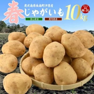 【厳選手選別】香りたつみずみずしい じゃがいも　新じゃがいも 約10kg _horino-715