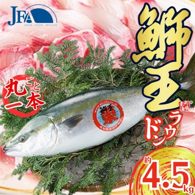 鰤王ラウンド　約4.5kg-R