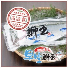 早生鰤王フィレ　約1.2kg | ふるさと納税のお礼品